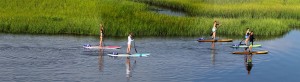 Stand Up Paddle Boarding on Marsh - Large Package Deals